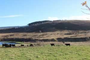 Elaine Murray Accountancy Services in Morayshire and Aberdeenshire